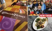 North Italia: The Cheesecake Factory's Italian Offshoot Expands with Refined Dining