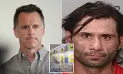 NSW Premier 'Embarrassed' After Inmate Wrongly Freed Hours After Sentencing