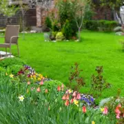 One Essential April Gardening Task for a Perfect Summer Lawn