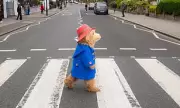 Paddington Bear Records Abbey Road Album with West End Cast