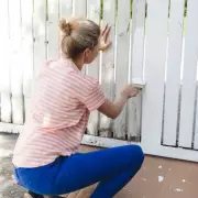 Paint Your Fence White to Deter Pigeons This Summer, Experts Say