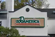 Parents Charged After Toddler Injured by Wolf at ZooAmerica Enclosure
