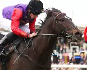 Portcullis Triumphs at Newmarket's Wood Ditton, Sparking Royal Breeders' Dreams