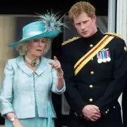Prince Harry's Desperate Plea to King Charles Before Camilla Wedding Revealed