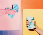 Professional Cleaners Reveal Common Bathroom Cleaning Mistakes and Pro Tips