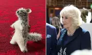 Queen Camilla to Present Stuffed Roo Toy to NY Library During US Visit