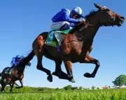 Raaheeb's Derby Odds Plummet After Classic Trial Victory