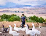 Race Across the World Heats Up in Turkey as Teams Eye Tbilisi