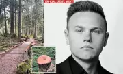 Real Estate Agent Accused of Cutting 142 Trees for Profit, Not Safety