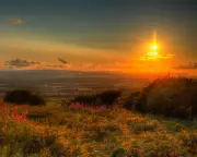 Recent Poetry Collections Reviewed: From Somerset Landscapes to Navajo Droughts