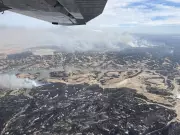 Record Wildfires Devastate US Cattle Country Amid Extreme Drought