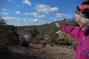 Retired Cranberry Bog Transforms into Massachusetts Wetland Restoration Model
