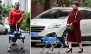 Robot Guide Dogs Navigate Streets in China, Offering Hope for Visually Impaired