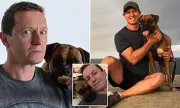Rove McManus Mourns Death of Beloved Dog Holly at Age 8