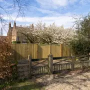 Royal Safari Tours Now Offer Glimpse of Andrew's New Home at Sandringham