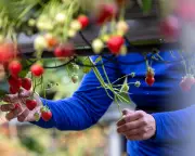 Sainsbury's Warns Iran War Could Hit Profits and Supply Chains