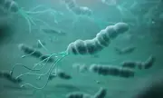 Saliva Test Breakthrough Could Revolutionise Early Stomach Cancer Detection