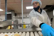 Scientist Unveils Bioengineered Potato for Crispier Chips