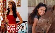 Shannon Elizabeth's Unconventional Journey: From American Pie to Rhino Conservation
