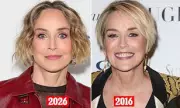 Sharon Stone Sparks Facelift Rumours at 68 with Youthful Red Carpet Appearance