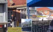 Shocking Incident: Woman Defecates Outside Brisbane Cafe in Wealthy Suburb