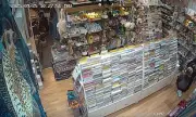 Shoplifter Steals £2,528 in Jellycat Toys, Spared Jail Despite 45 Prior Thefts