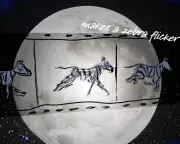 Simon Armitage's 'The Moon and the Zoo' Celebrates ZSL's 200-Year Legacy