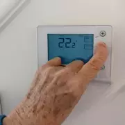 Simple Check Could Earn You Free Sunday Electricity and Slash Energy Bills