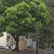 South African Family of Seven Kidnapped and Executed in Brutal Crime Spree