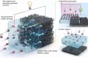 South Korean Breakthrough: 'Gas Battery' Converts Pollutants into Electricity