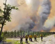 Southeast US Wildfires Intensify, Destroying Homes and Triggering Evacuations