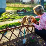 Spring Compost Alert: Hidden Danger to Dogs in UK Gardens