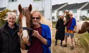 Squatters Claim Security Role in Cornish 'Ghost Estate' Dispute