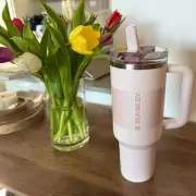 Stanley Quencher Cup Now £30 in Rare Spring Sale – I Drink 2L Daily