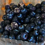 Stop Storing Blueberries in Plastic: Expert Reveals Simple Jar Method for Longer Freshness