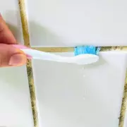Stop Using Bleach on Shower Grout: 3 Better Items to Remove Mould