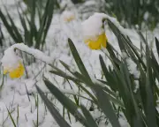 Storm Dave Threatens Easter with 90mph Winds and Snow Across UK