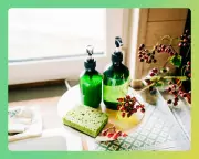 Sustainable Subscriptions: Readers' Top Picks for Greener Living