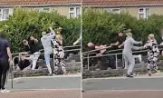 Swansea Street Brawl: Families Clash with Wooden Planks and Metal Poles
