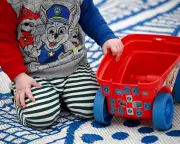 Sydney Childcare Worker Faces 137 Abuse Charges as Police Uncover More Victims