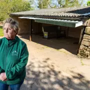 TB Outbreak Forces Llama Farm to Cull Nine Animals and Close for 2026