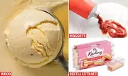 The Hidden Ingredients in Your Food: From Beetles to Wood Pulp