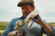 The Sheep Detectives Review: Oddly Charming Talking Sheep Comedy