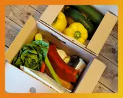 The Ultimate Guide to Recipe Boxes and Meal Kits for Busy Food Lovers