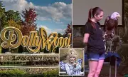Three Bald Eagles Missing From Dollywood After Storms Hit Tennessee