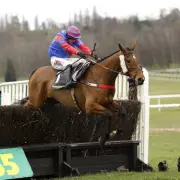 Three Grand National Horses Injured: Mr Vango Hospitalised with Neck Fracture