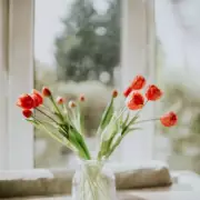 Three Popular Tulip Tricks Tested: The Clear Winner Revealed