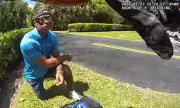Tiger Woods DUI Arrest: Bodycam Shows Golfer Kneeling After SUV Rollover