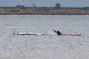 Timmy the Whale's Fate Sealed as Rescue Hopes Dim in Baltic Sea
