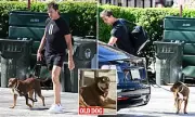 Tom Brady Spotted with Cloned Dog Junie, Defends Pet Cloning Decision